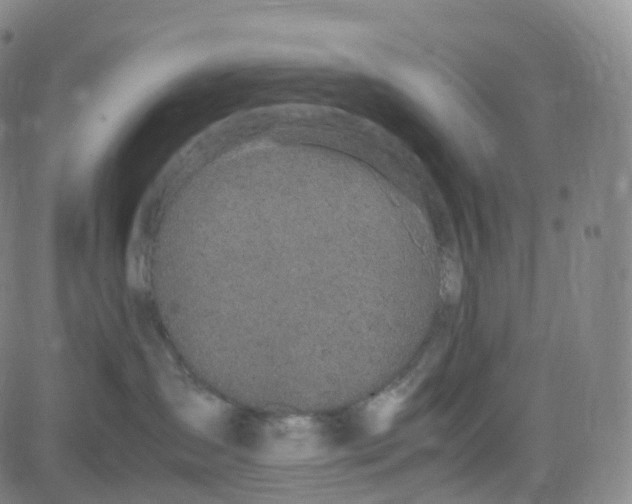 X0000080710431200701051014