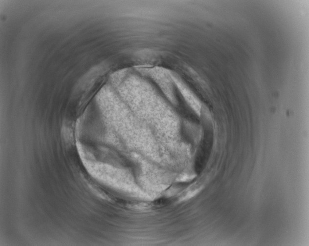 X0000080710432200701051014