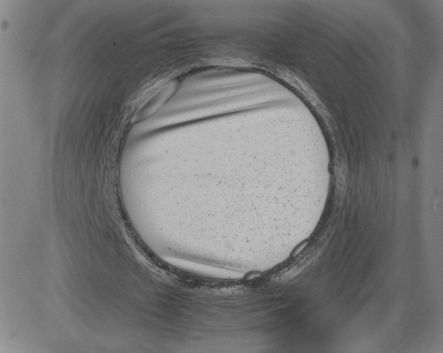 X0000080710433200701051013