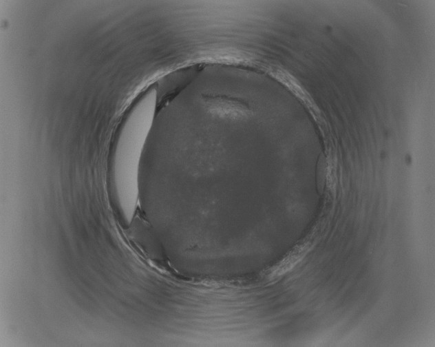 X0000080710434200701051013