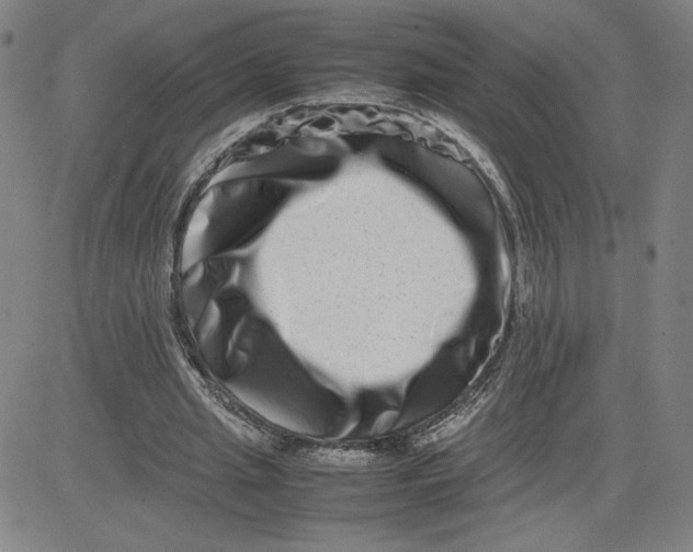 X0000080710437200701051013