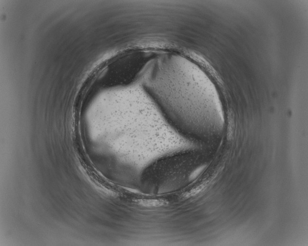 X0000080710439200701051013