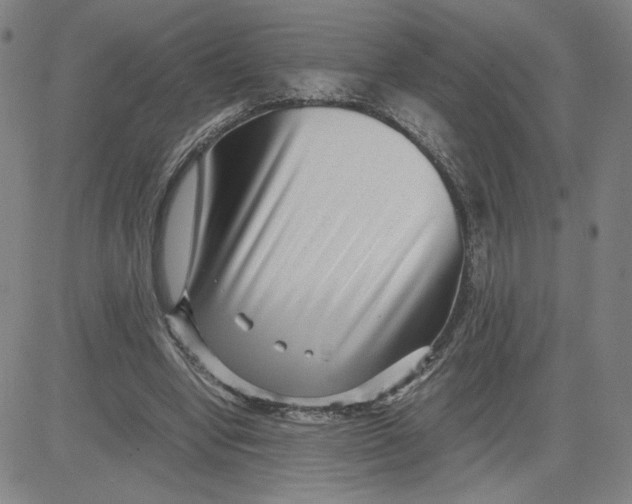 X0000080710442200701051013