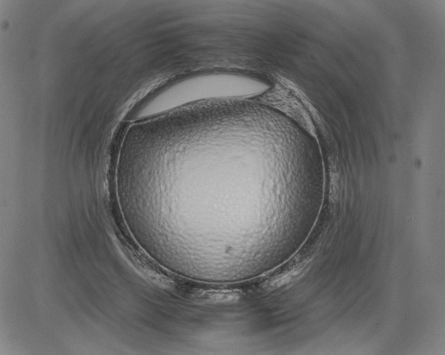 X0000080710443200701051013