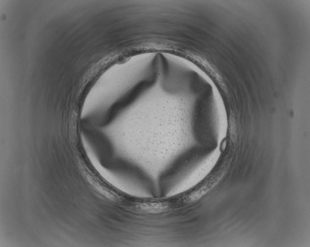 X0000080710445200701051013