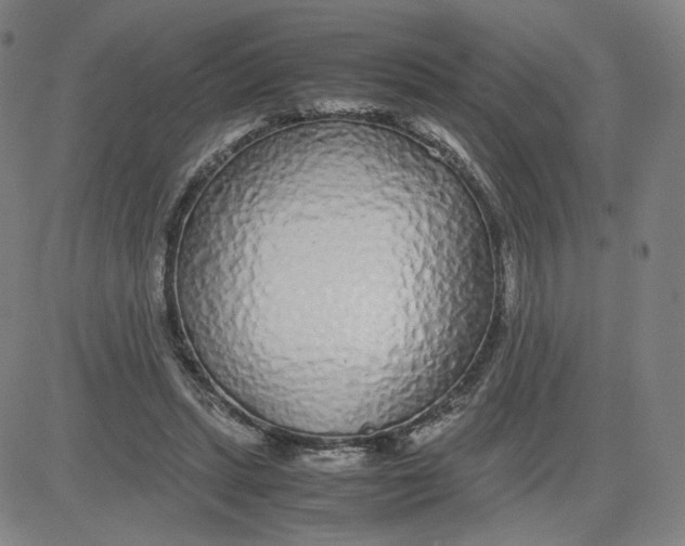 X0000080710447200701051013