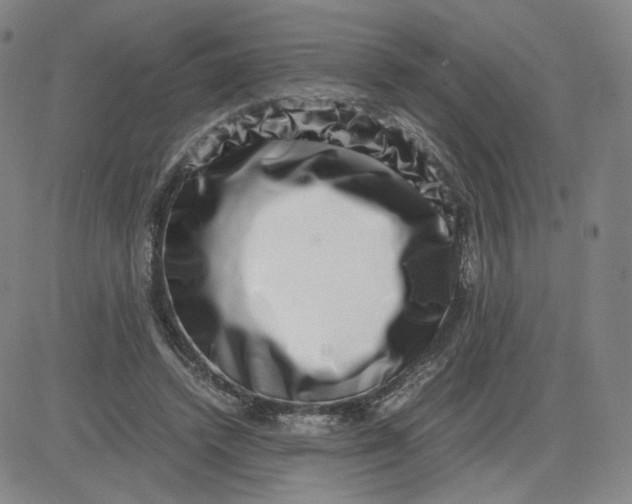 X0000080710448200701051013