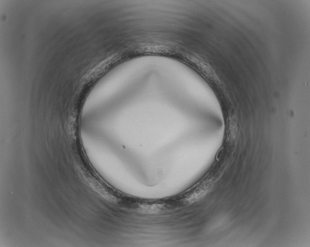 X0000080710450200701051013