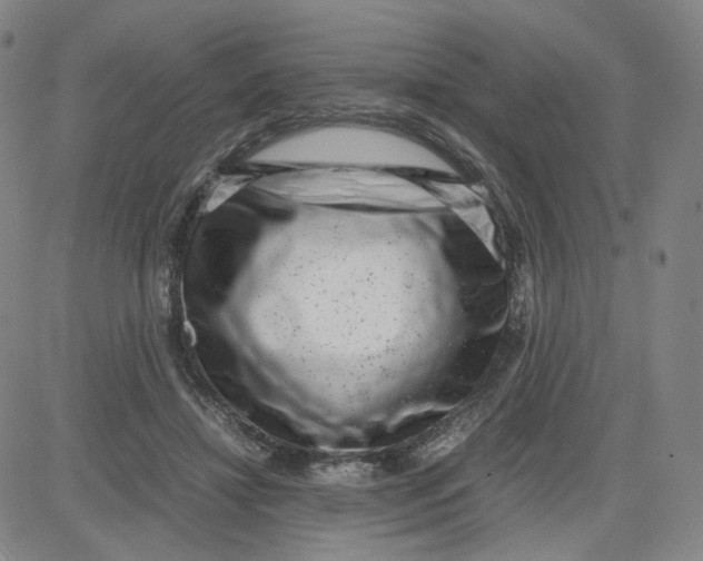 X0000080710452200701051013