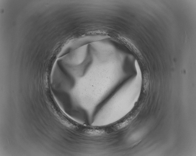 X0000080710453200701051013