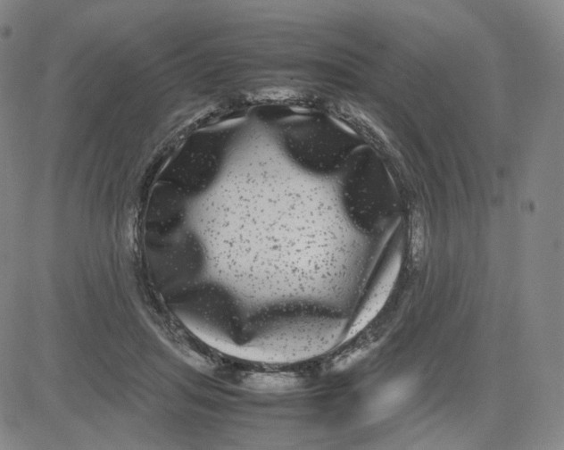 X0000080710455200701051013