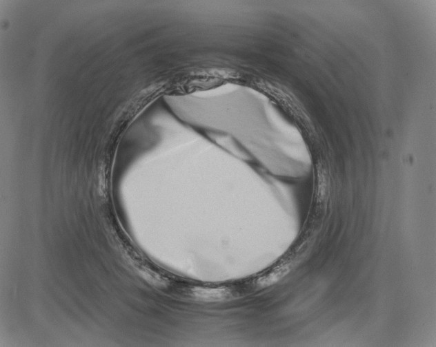 X0000080710457200701051013