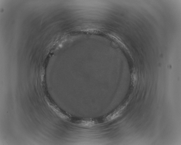 X0000080710458200701051013