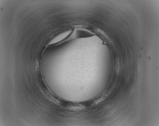 X0000080710459200701051013