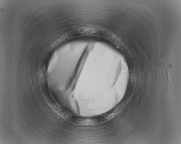 X0000080710460200701051014