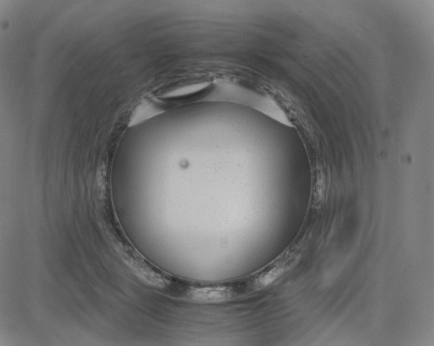 X0000080710461200701051014