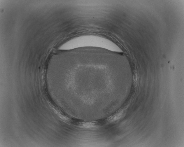 X0000080710462200701051014