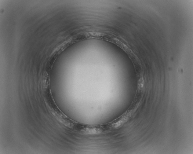 X0000080710464200701051014