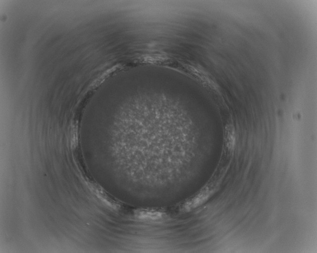 X0000080710471200701051014