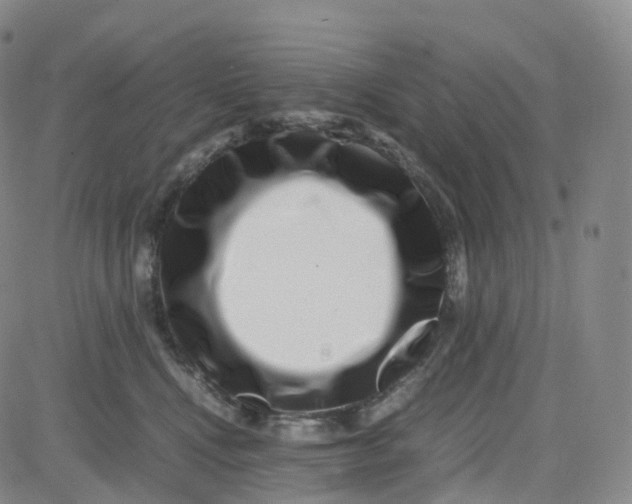 X0000080710472200701051014