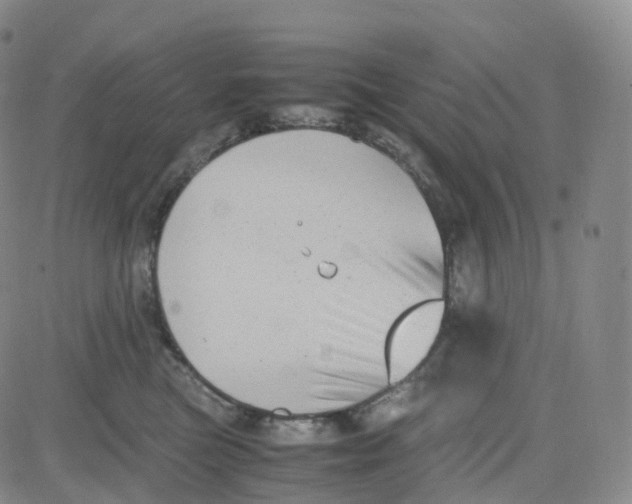 X0000080710473200701051014