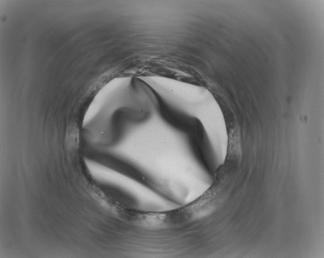 X0000080710474200701051014