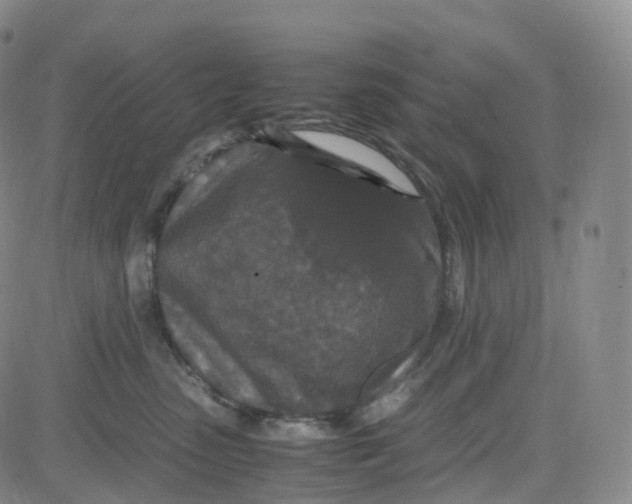 X0000080710475200701051014