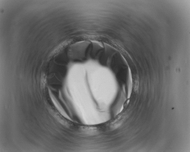 X0000080710476200701051014