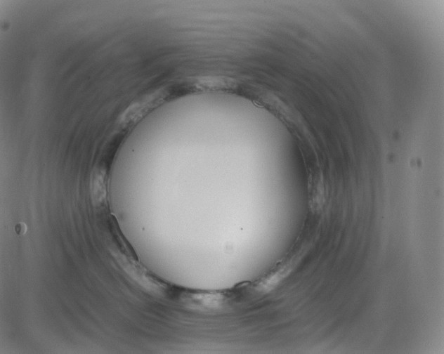 X0000080710478200701051014