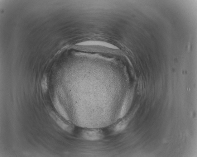 X0000080710479200701051014