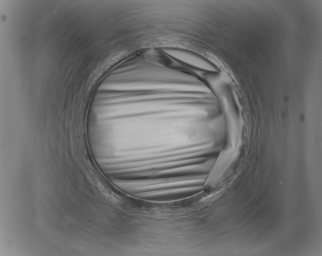 X0000080710481200701051013