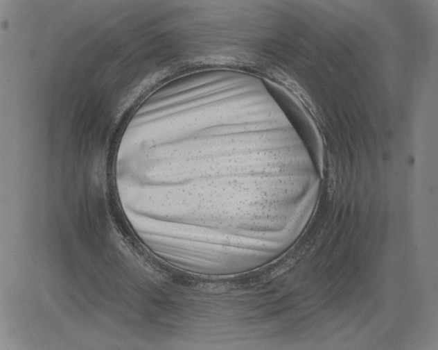 X0000080710482200701051013