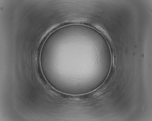 X0000080710483200701051013