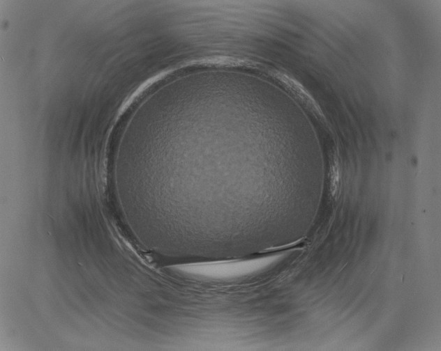 X0000080710484200701051013