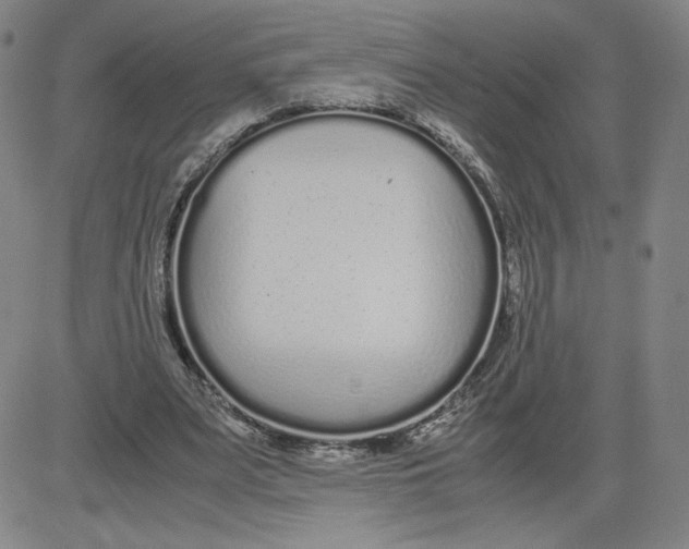 X0000080710487200701051013