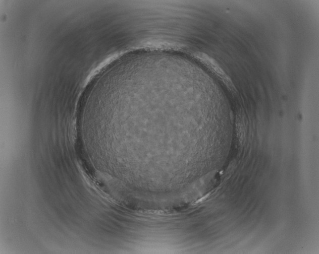 X0000080710488200701051013