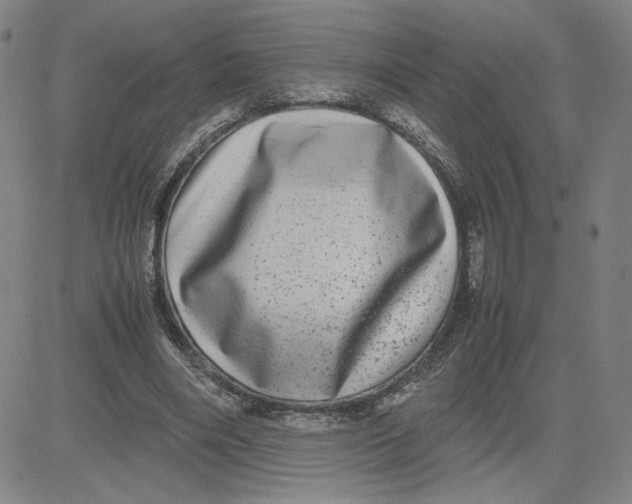 X0000080710490200701051013