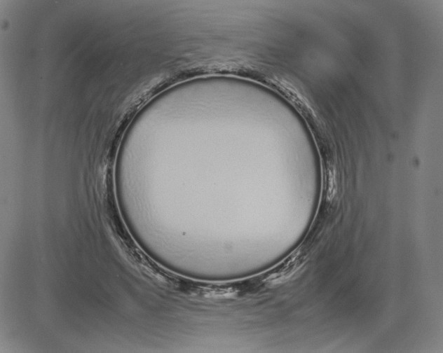 X0000080710491200701051013