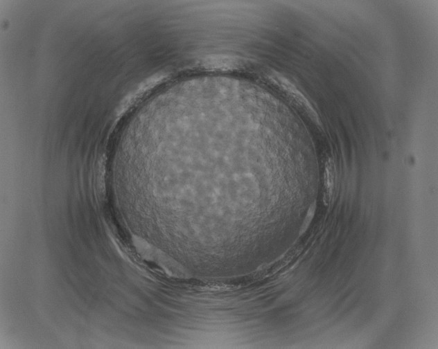 X0000080710492200701051013