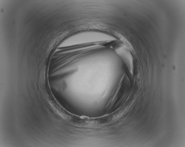 X0000080710493200701051013