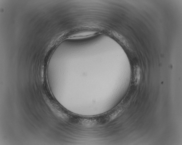 X0000080710494200701051013