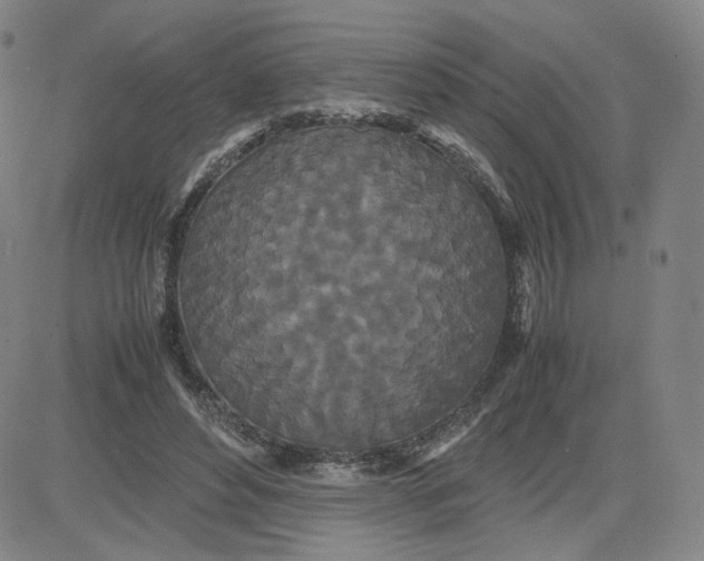 X0000080710496200701051013