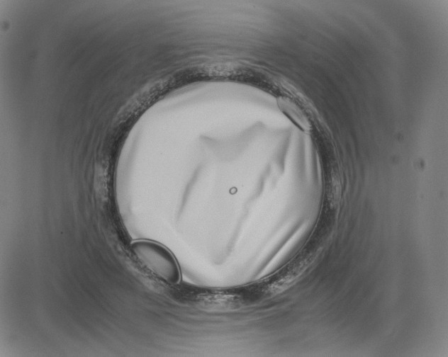 X0000080710497200701051013