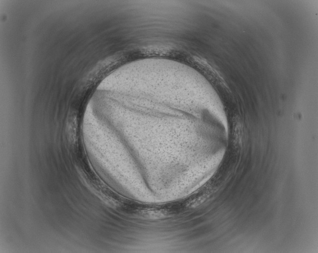 X0000080710498200701051013