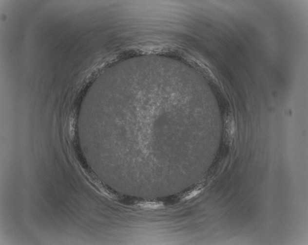 X0000080710499200701051013