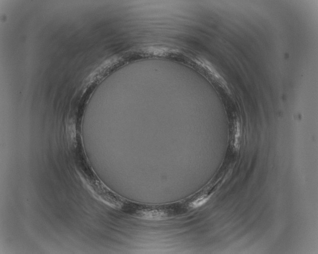 X0000080710500200701051013