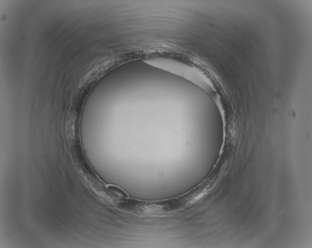 X0000080710501200701051013