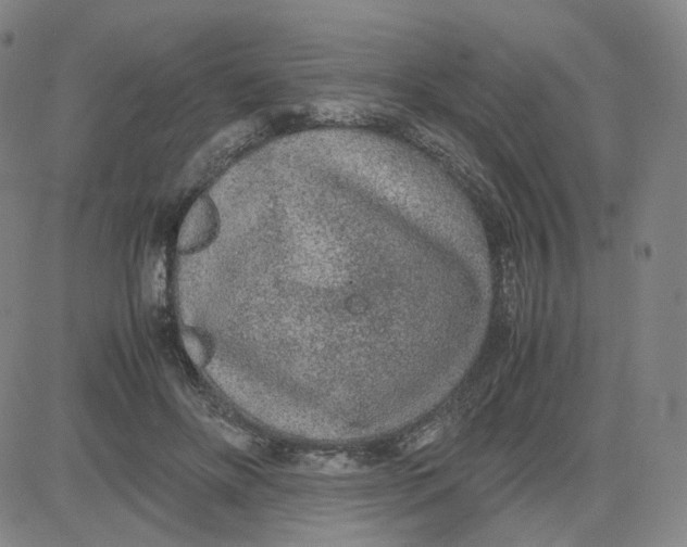 X0000080710502200701051013