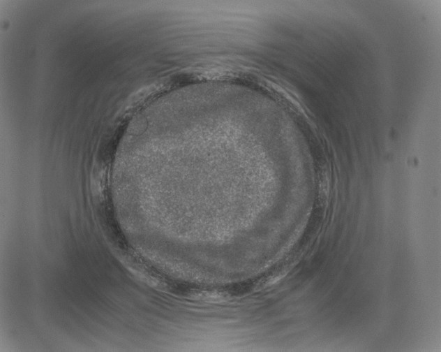 X0000080710503200701051013