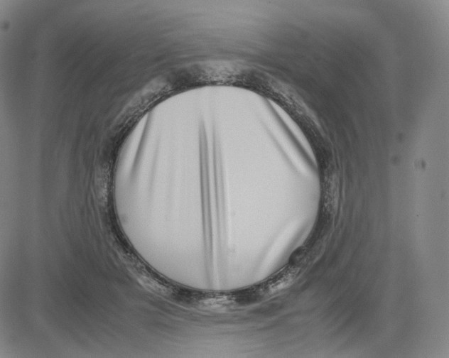 X0000080710505200701051013